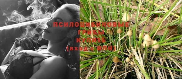 mix Армянск