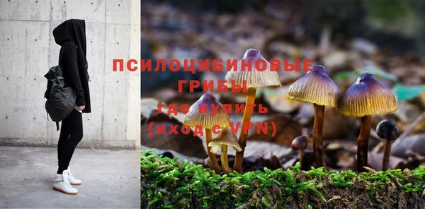 герыч Арсеньев